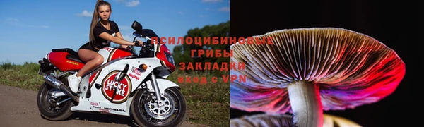 прущие крисы Алексеевка
