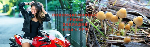 прущие крисы Алексеевка
