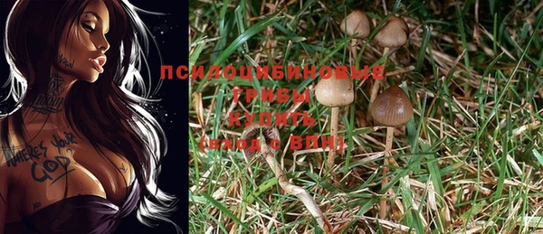 прущие крисы Алексеевка