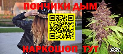 a pvp Ставрополь