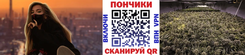 купить закладку Ревда Марихуана семена